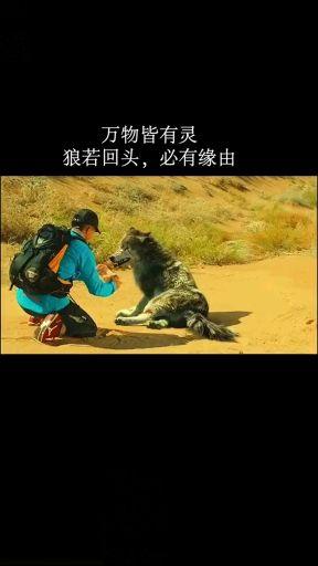 真人版神庙逃亡给你三条命你能通关吗