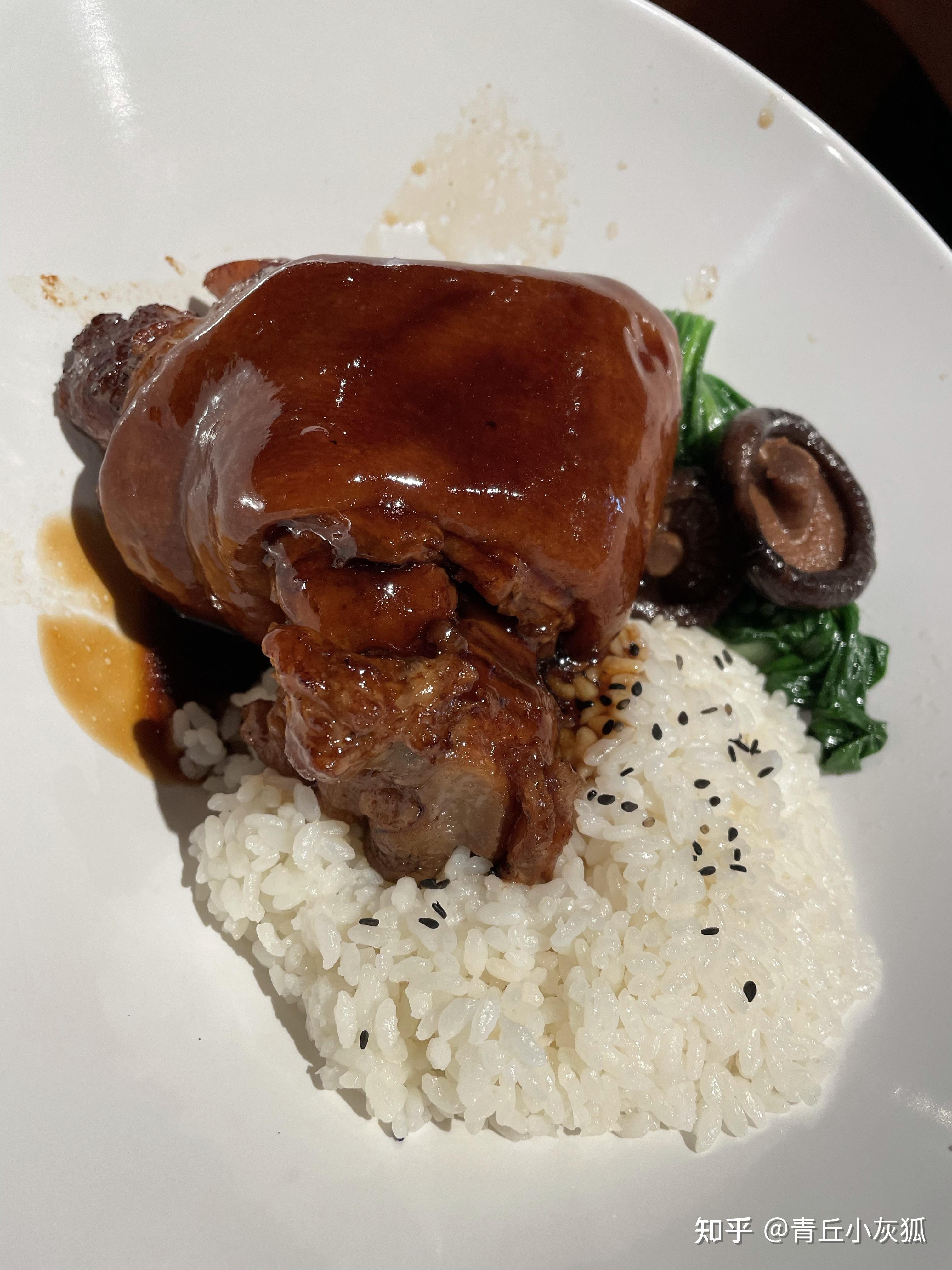 内可选择的种类不多,但味道还可以,价格也不算太贵,这个猪肘饭98元,咕