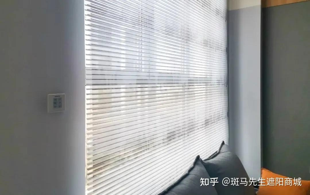 高端调光窗帘斑马先生依云帘