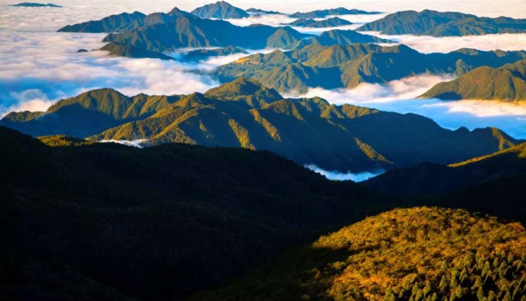 区11 个,本次国家管理评估涉及 9 个,象山韭山列岛国家级自然保护区因