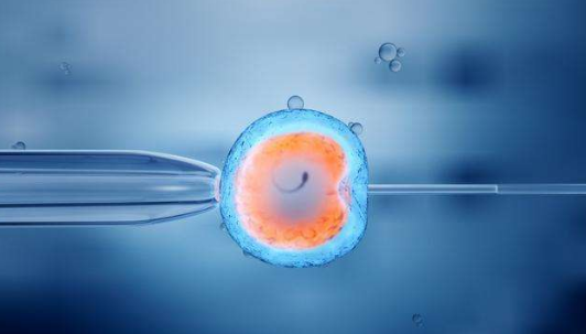 试管婴儿一般多长时间可以成功(试管婴儿要多久才成功)