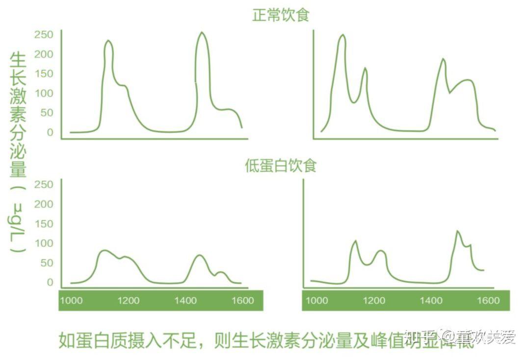 日常飲食中蛋白質攝入對孩子的影響你知道嗎