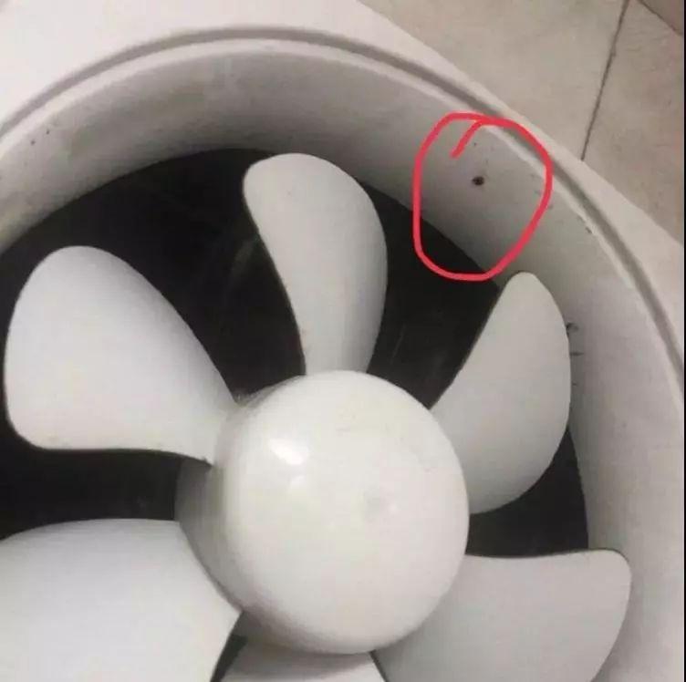 可怕针孔摄像头再现这次是女厕暗藏位置让人心惊饮茶论道