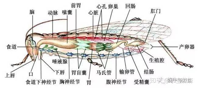 这三套书让孩子爱上数学 - 知乎