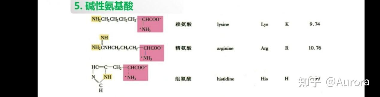 碱性氨基酸酸性氨基酸芳香族氨基酸极性中性氨基酸非极性脂肪族氨基酸