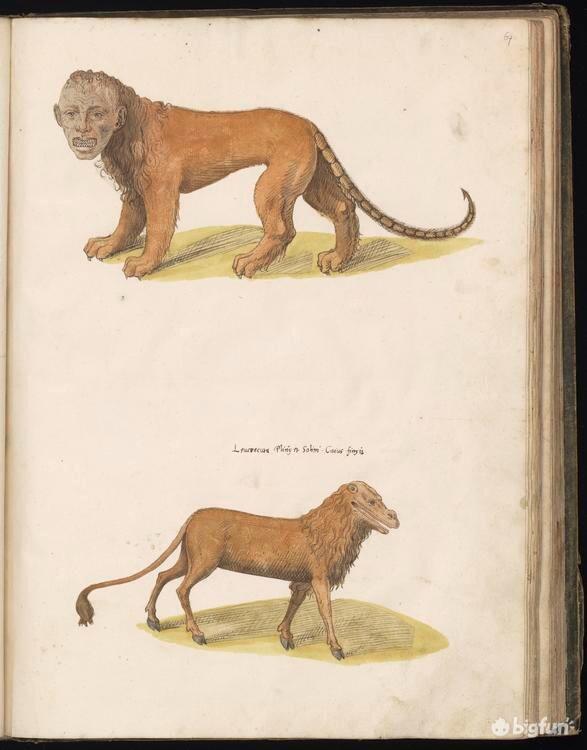 明日方舟考据向阵营设定浅析沙海之源流萨尔贡下