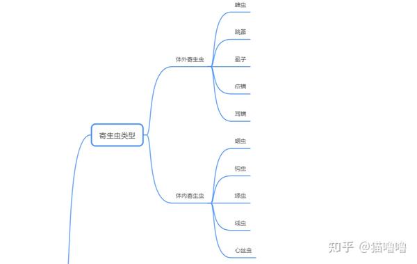 吸虫,绦虫的思维导图图片