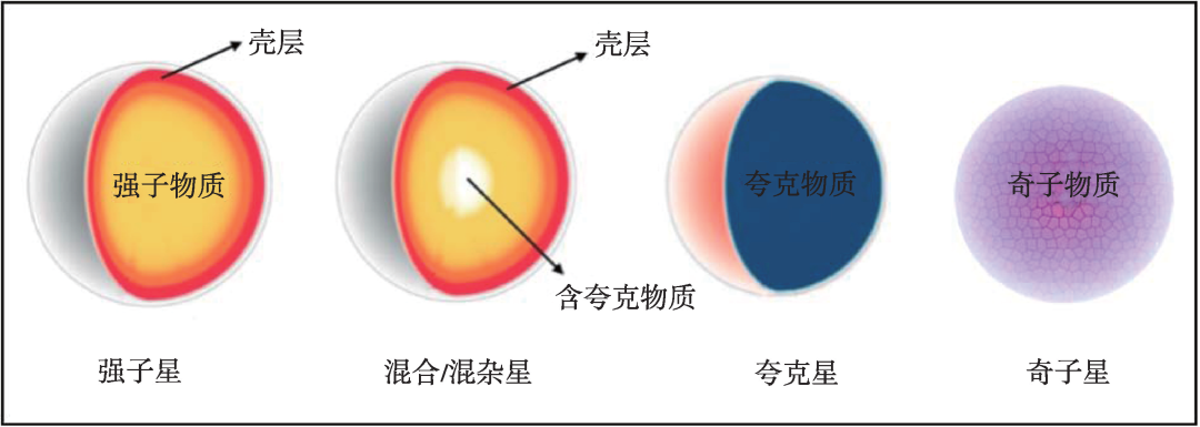 中子星内部结构 - 知乎