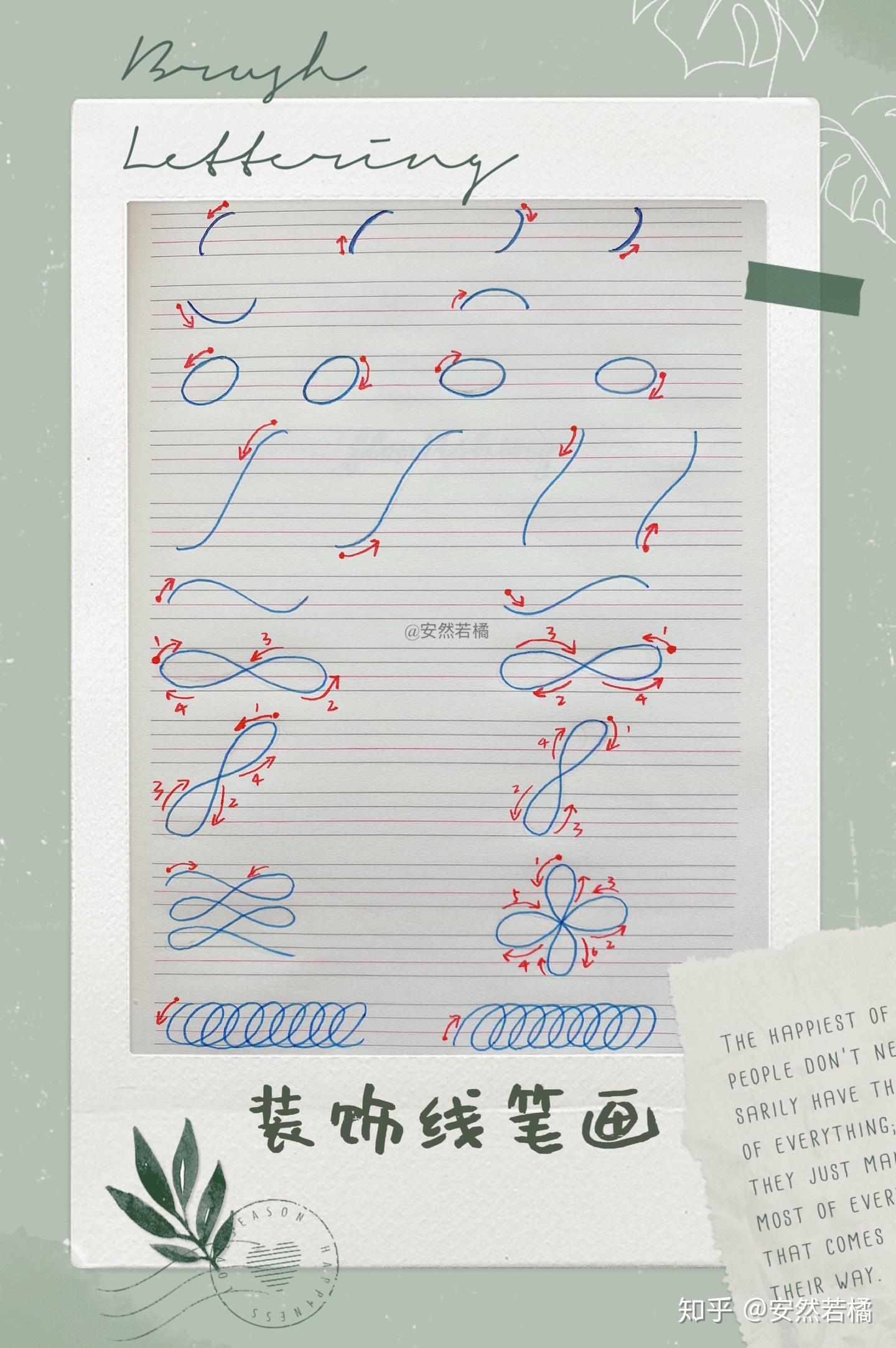 分享自学Brush Lettering 从入门到实践超全超实用干货（含基础字帖） - 知乎