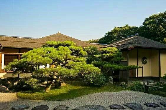 日式庭院景观 枯山水 知乎 日式庭院景观 枯山水 知乎