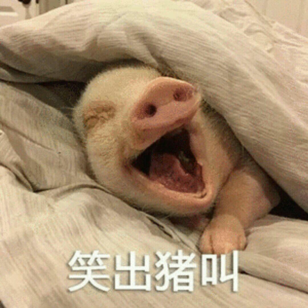 面对群发祝福的正确心态是什么?该怎么回应?