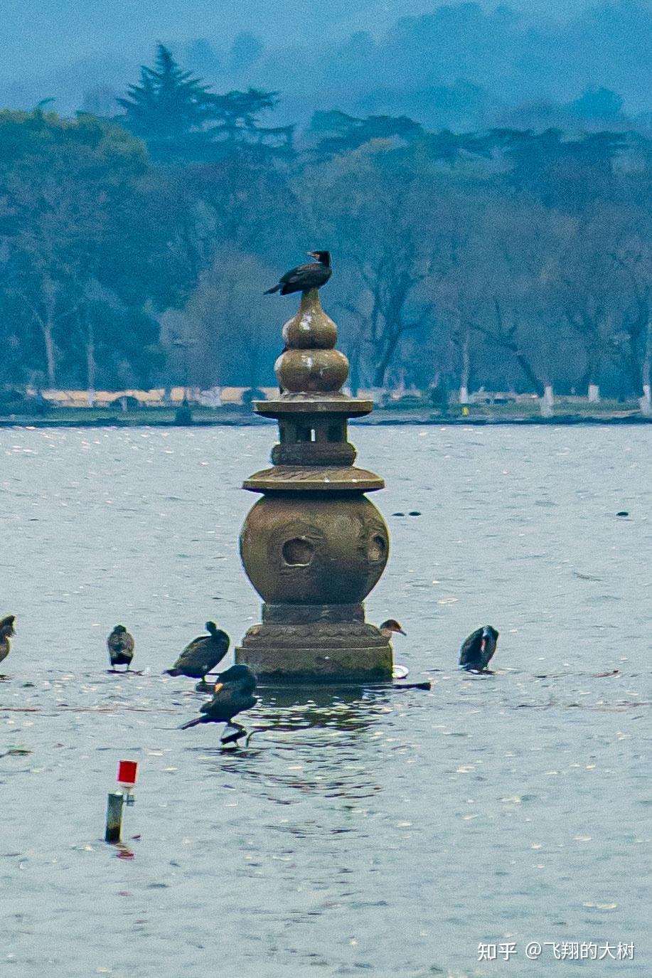 终于有人讲清楚杭州西湖游船攻略了! - 知乎