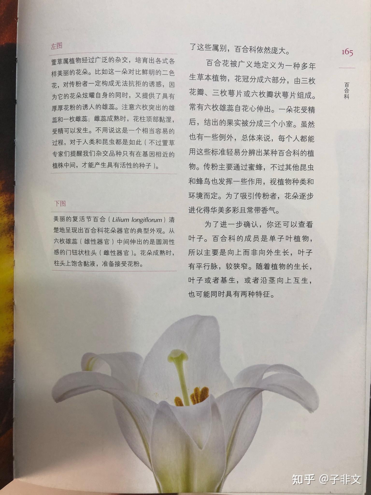 可以学的新知识有哪种书_可以学的新知识有哪种书_可以学的新知识有哪种书
