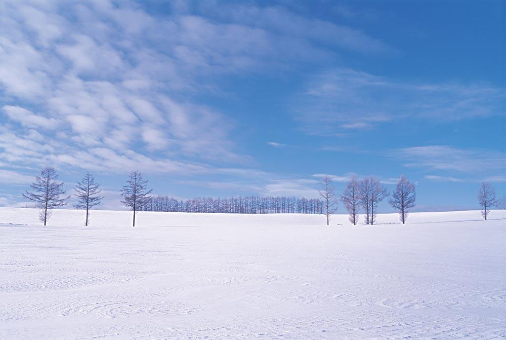 北海道的云白如雪 又安静又干净 知乎