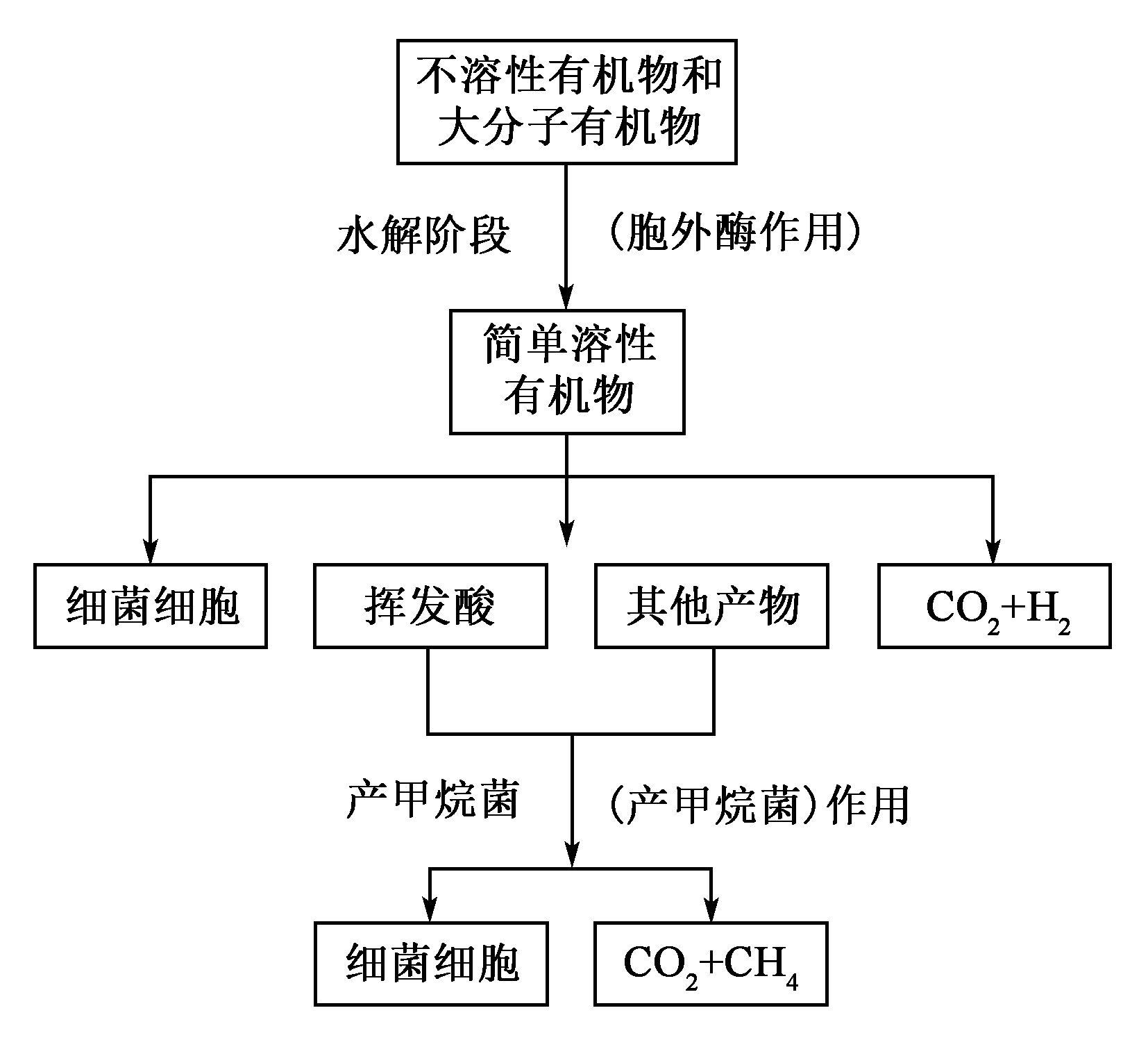 知乎盐选 | 3.2 厌氧生物处理基本原理