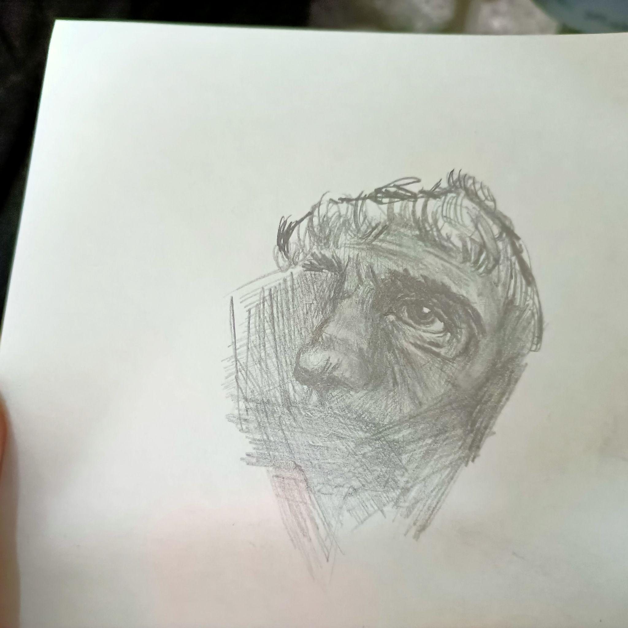 v2-80c79075d434434a14376ac14b89c00d_r.jpg