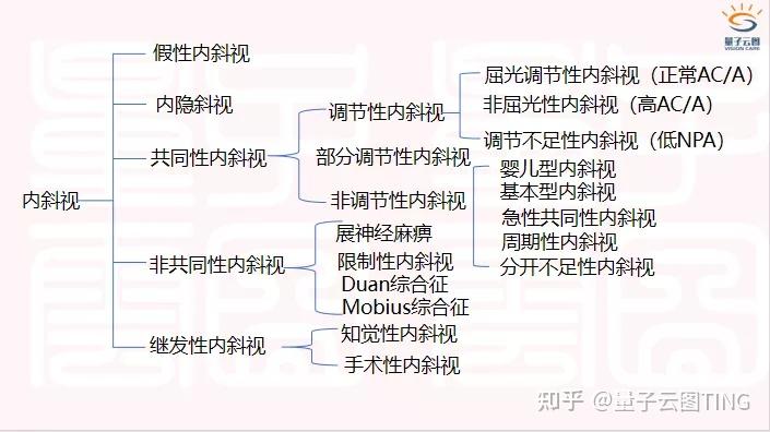 斜视图的作用图片