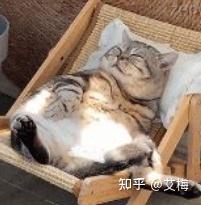 2026年中央空调推荐指南 | 中央空调怎么挑不踩雷?这几款中央空调总有一款适合你