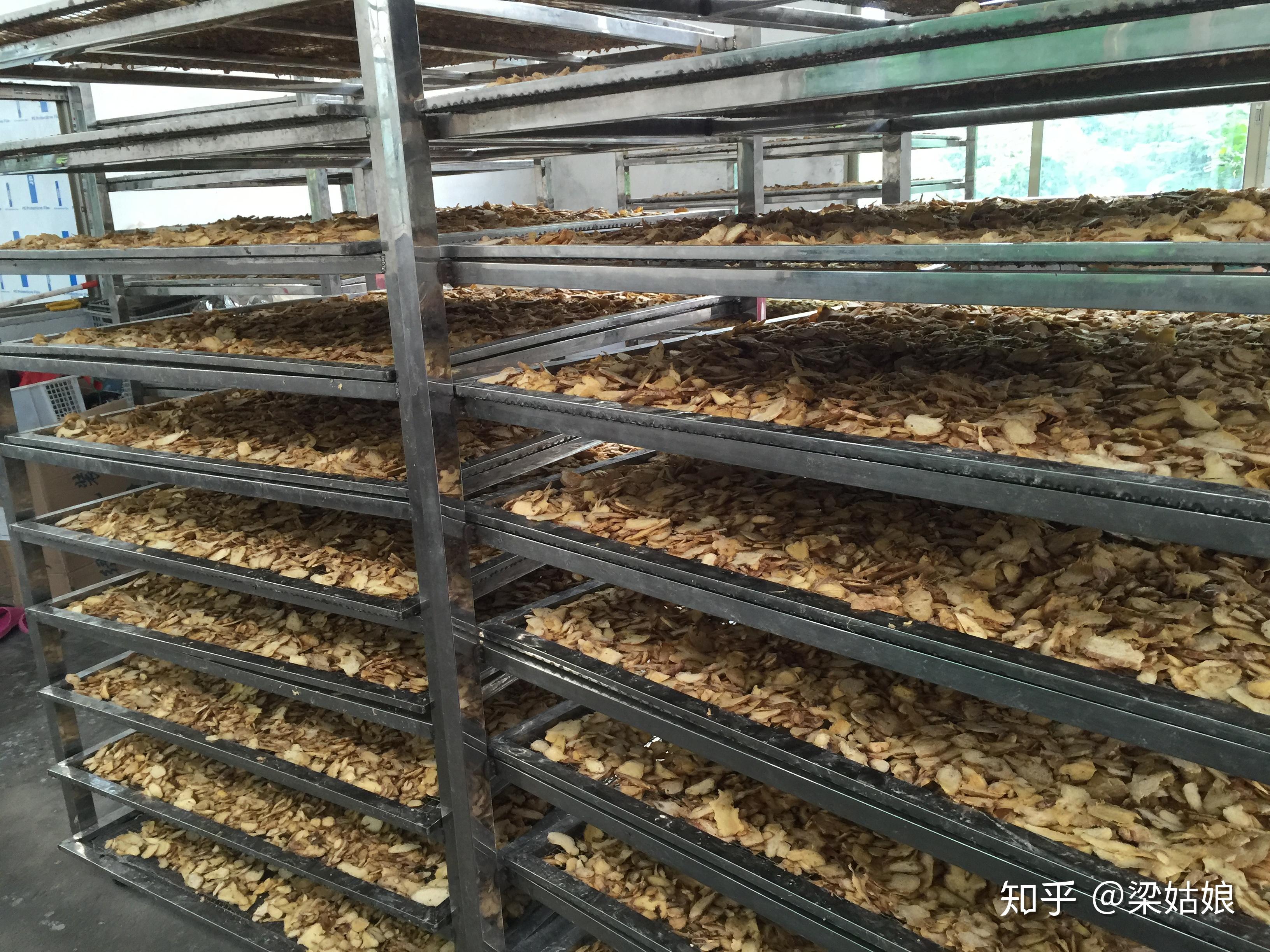 生姜加工之生姜烘干机 姜黄热泵干燥设备解读