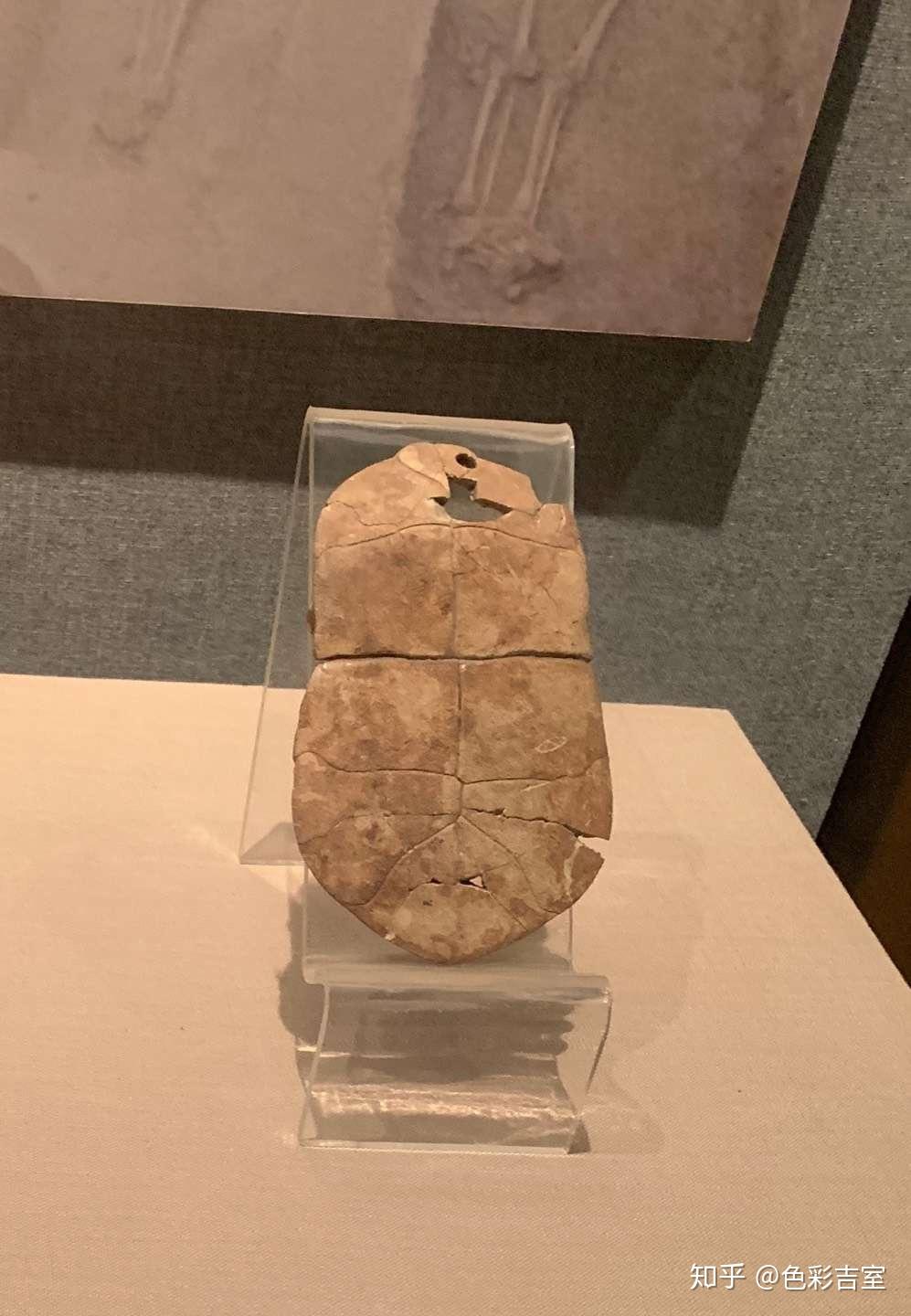 贾湖遗址,出土了大量的新石器时代早期的房基,窖穴,陶窑,墓葬等遗存