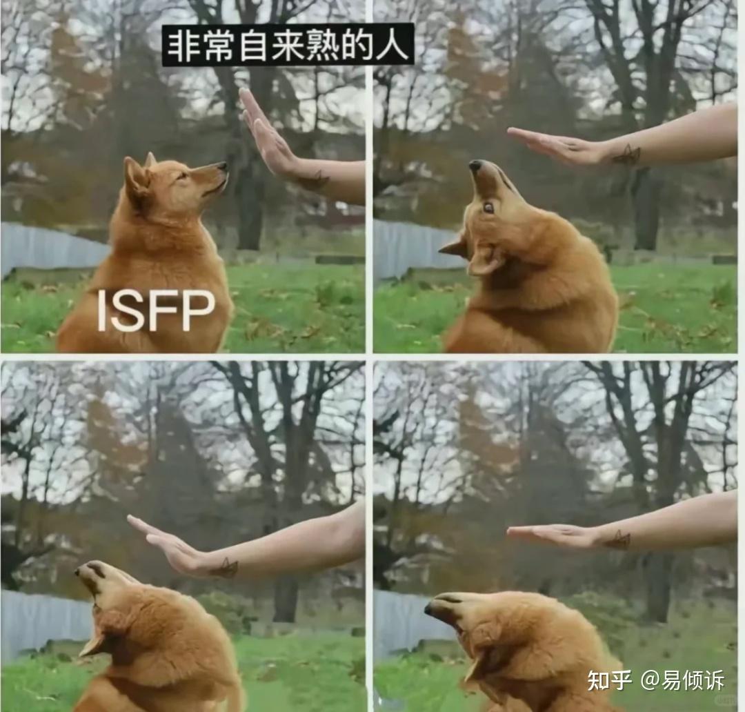 【MBTI】ISFP-A与ISFP-T有什么不同? - 知乎