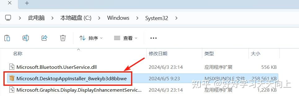 Windows11 LTSC下如何安装.msi或.msixbundle应用程序