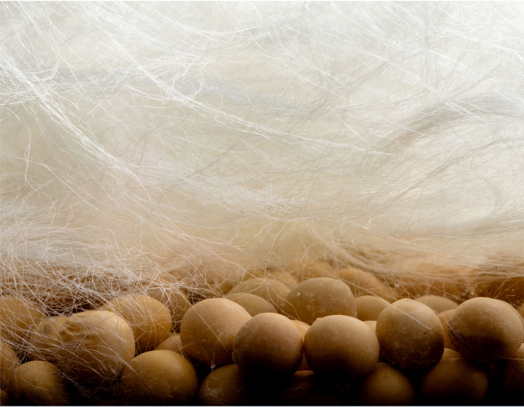 为什么大豆纤维床垫是可以改善睡眠的床垫