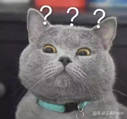 怎么才叫正常对视 v2-80f5f1332017e8e6ca24e9ecbddca64d_r.jpg