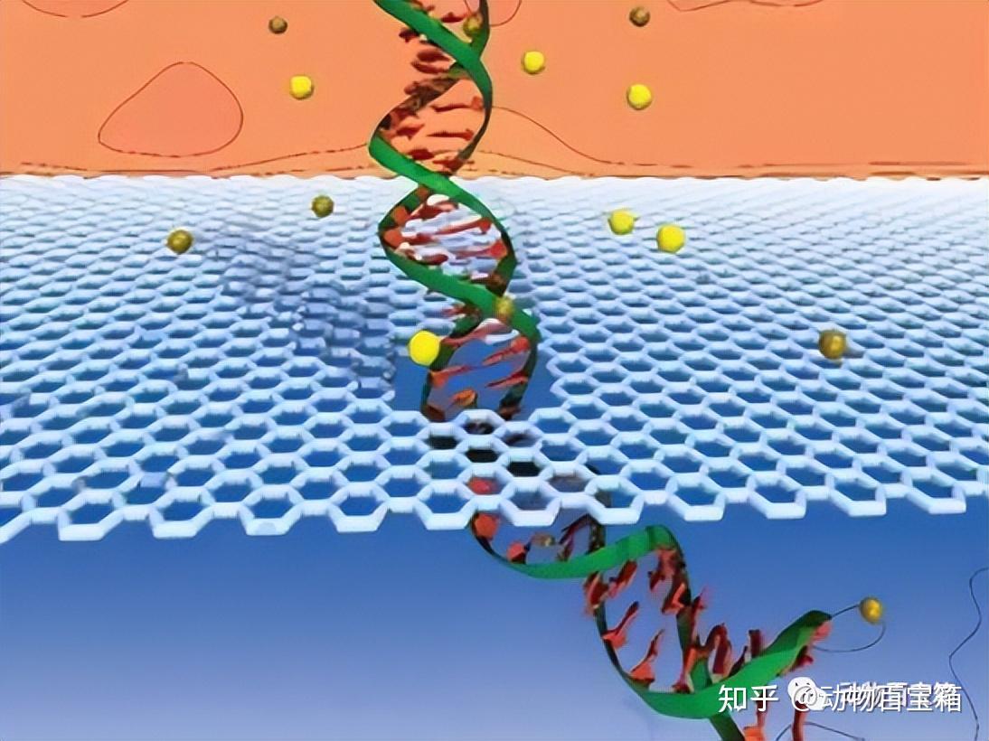 残留的血迹,却成为破案的重要线索,DNA鉴定技术究竟有多强? - 知乎