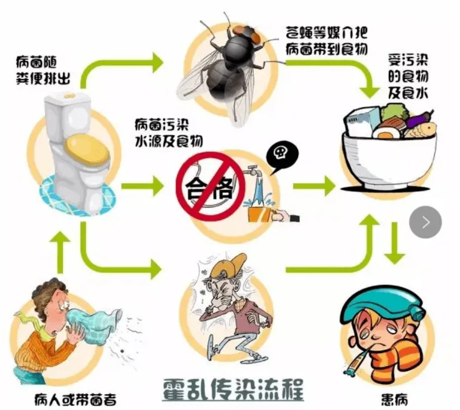 中国唯二的甲类传染病为啥不能像新冠一样4小时就出结果