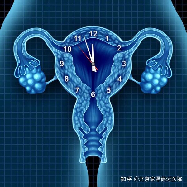 代孕