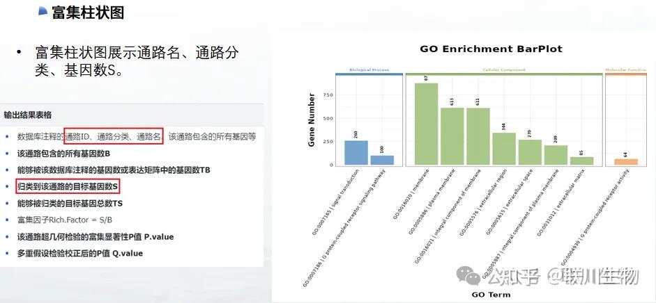 【联川沧海】富集分析ORA（通用富集分析）、FCS（GSEA、ssGSEA、GSVA）一网打尽 - 知乎