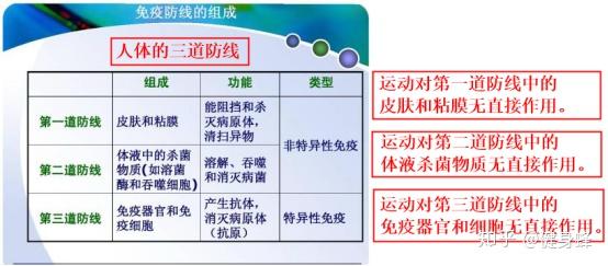 人体第二道防线图片