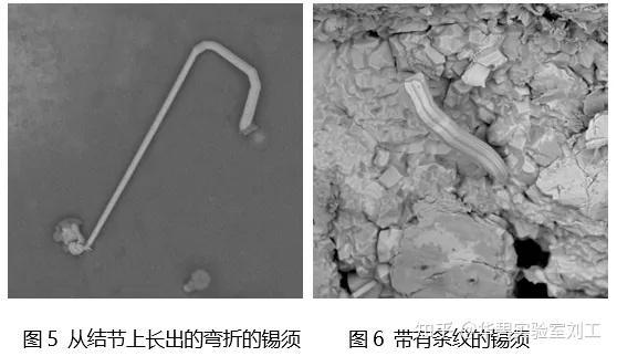锡须的生长机理及测试检测 - 知乎