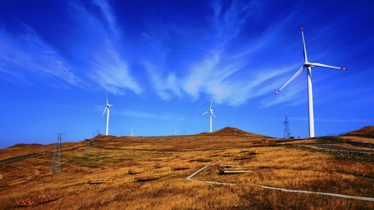 周末就近去张家口有什么好玩的地方吗?