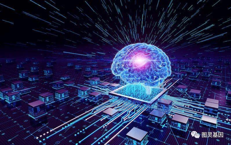 的硅芯片都是基于数字电子原理,因此它们完全模仿大脑功能的能力有限