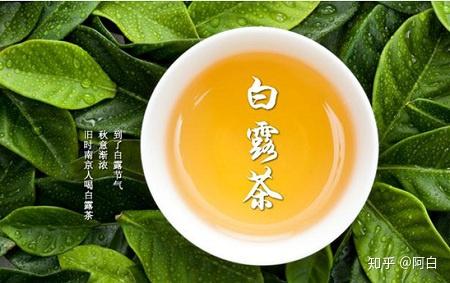 民间有"春茶苦,夏茶涩,要喝茶,秋白露"的说法,此时的茶树经过夏季的