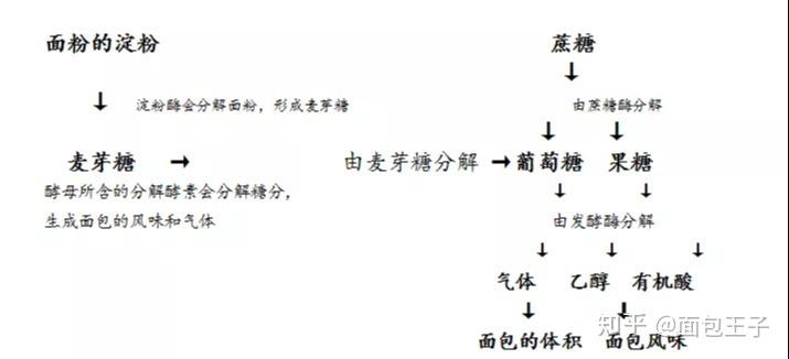 发酵酶的作用是分解葡萄糖和果糖,变成二氧化碳和乙醇即溶干酵母