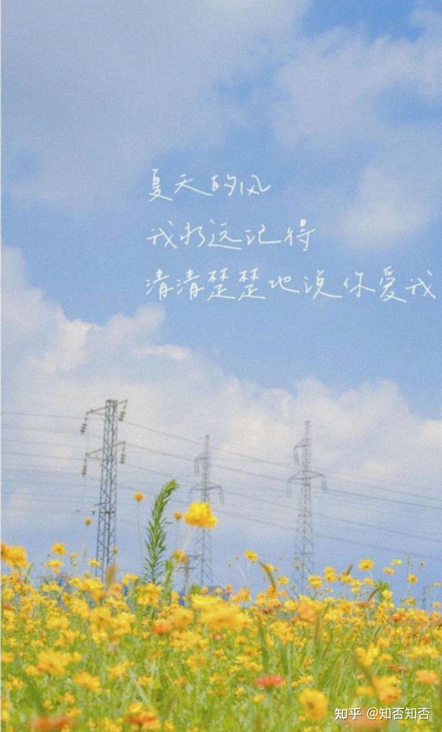 有没有治愈系的文案推荐?