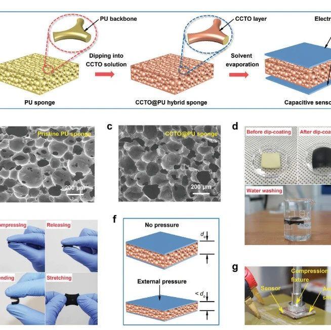 《afm》:用于超高灵敏度压力和应变电容传感器的泡沫复合介电材料