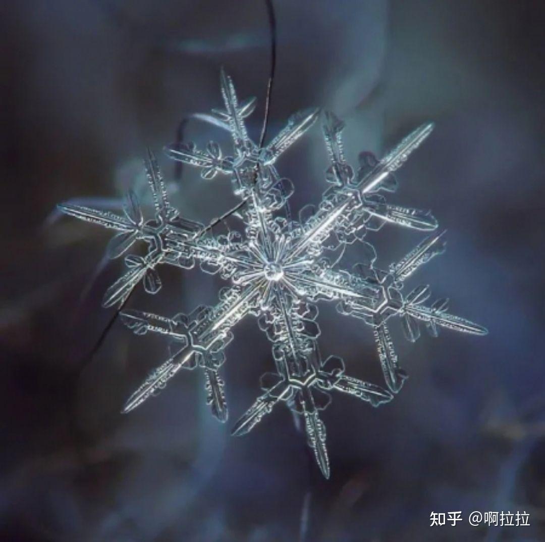 【おもしろ】3月なのに大雪警報！#関東雪結晶で見られる写真が幻想的で素晴らしい - 気ままにおうち生活