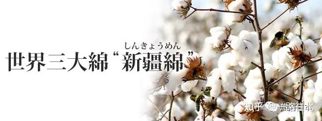 hm优衣库禁用新疆棉新疆棉谢谢自己都不够用