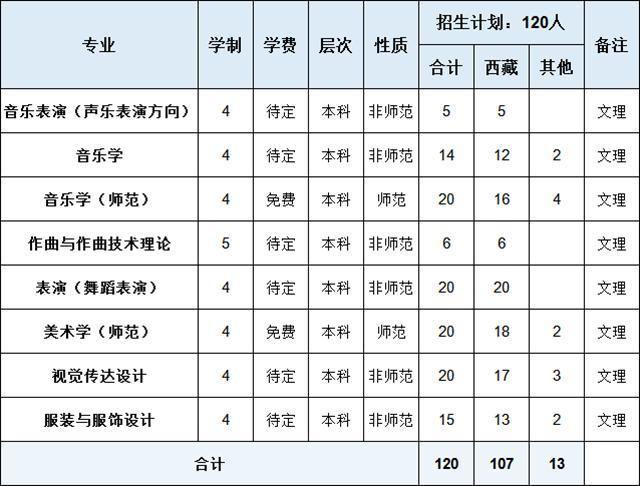 双一流高校西藏大学2018年艺术类专业招生简章