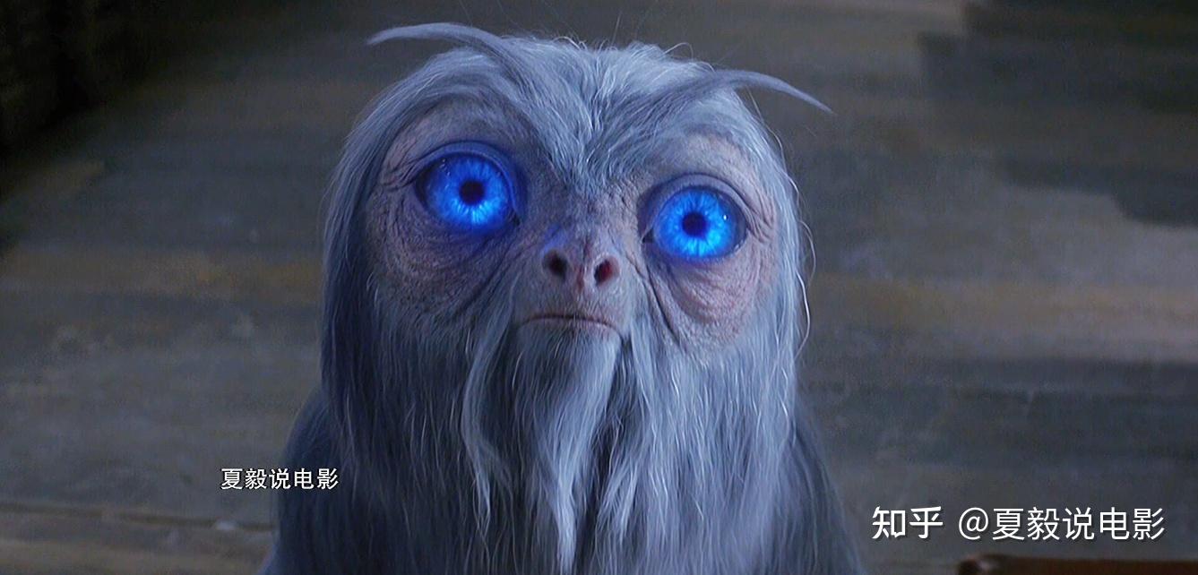 盘点《神奇动物在哪里》出现的十大神奇动物! - 知乎