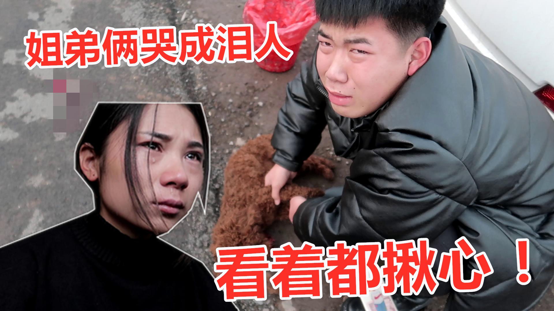 到底发生了什么事让姐弟俩哭成泪人看着都揪心