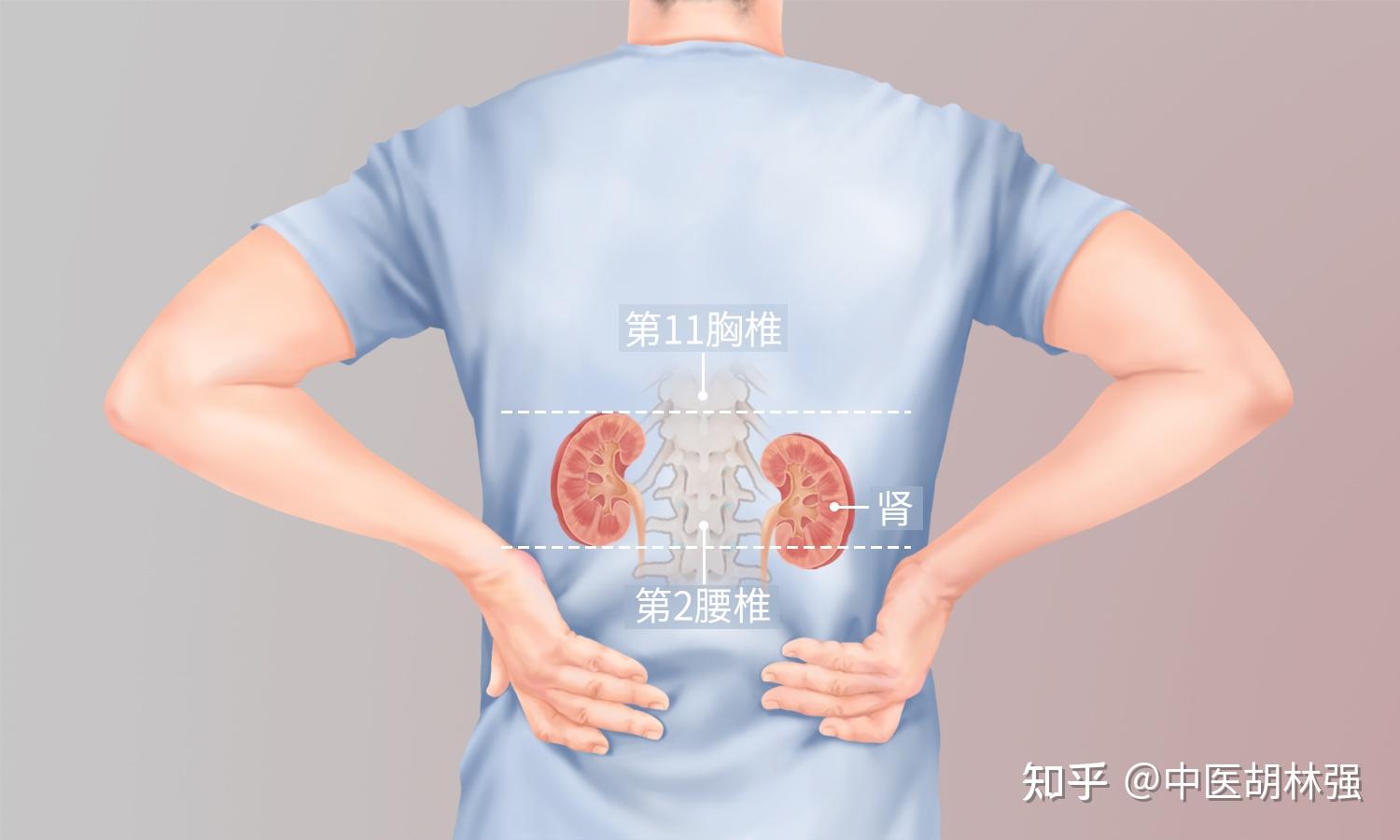 欲望强是好事吗?别以为是肾好,中医告诉你,那是你肾阴大虚了。 - 知乎