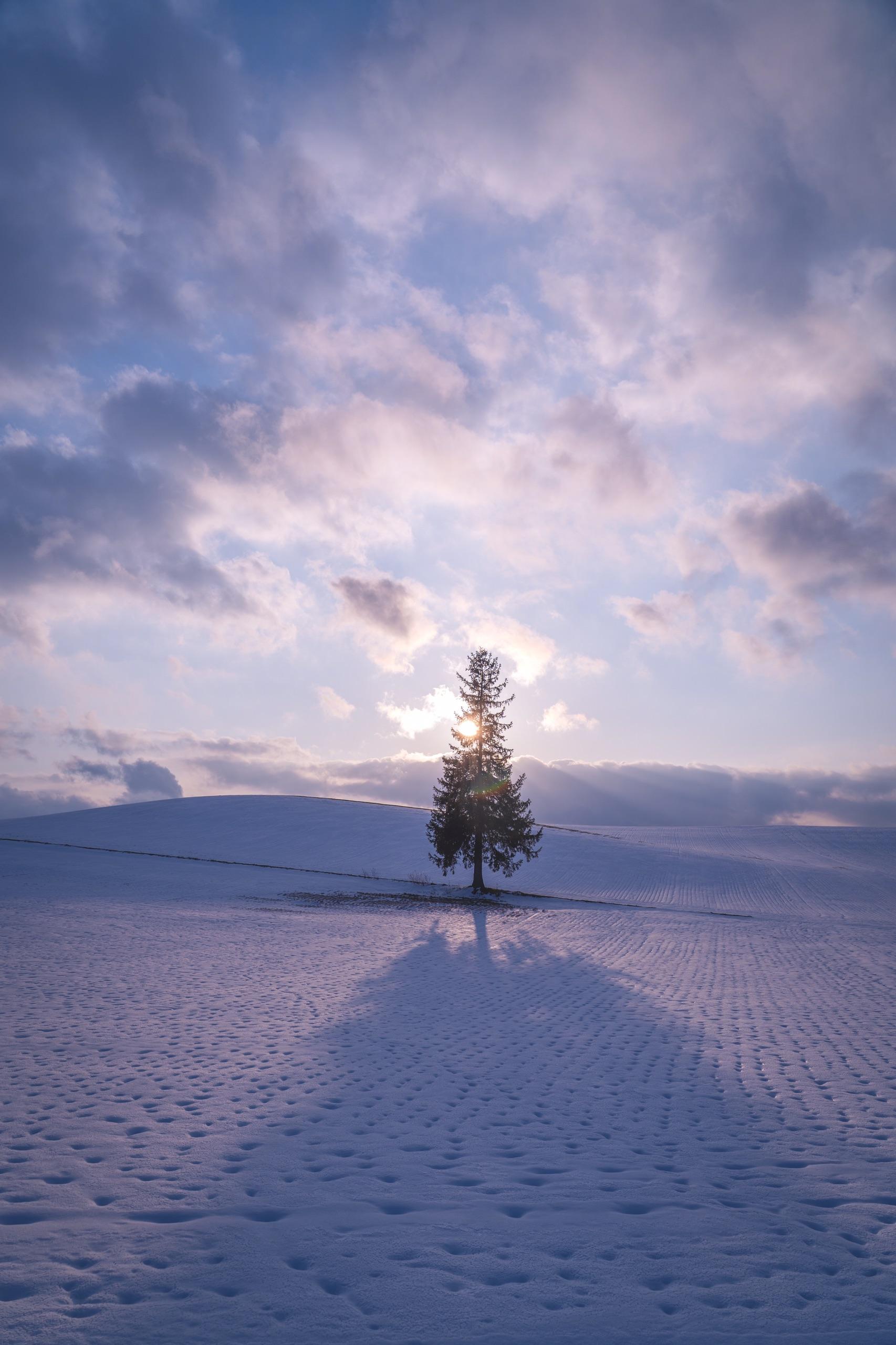 你的手机里有好看的雪景嘛