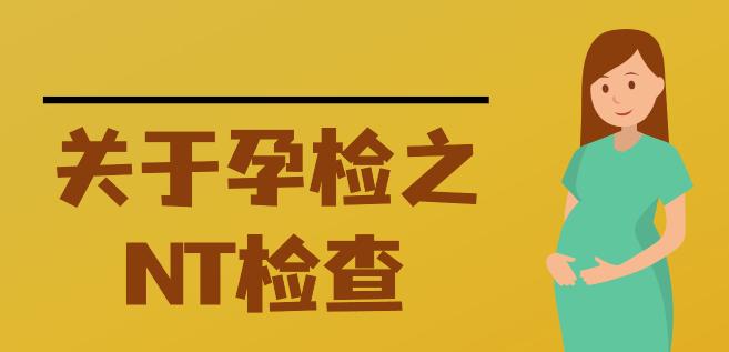 孕检时做的nt检测，到底是什么？做好功课nt一次过！ 知乎