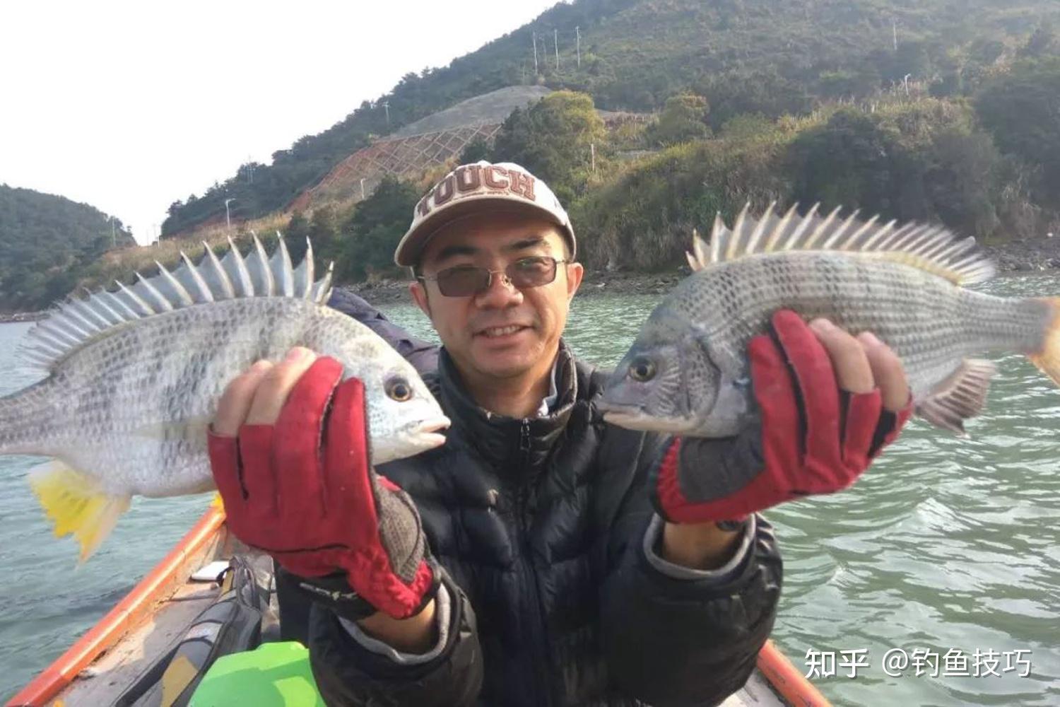 黑鲷、黄鳍鲷、真鲷等鲷科鱼类的垂钓技巧 - 知乎