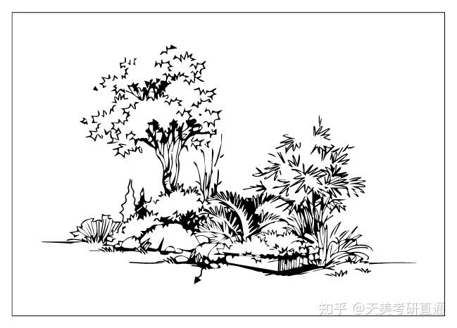 植物群落效果图手绘图片